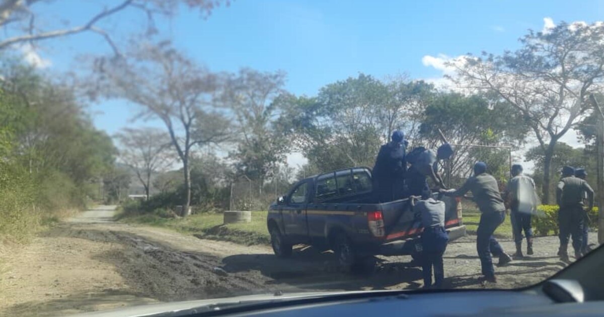 Zimbabwe Police Ban Opposition CCC Rallies in Midlands