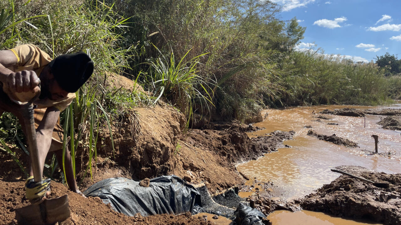 Zimbabwe&rsquo;s gold rush adds fuel to a deadly surge in malaria