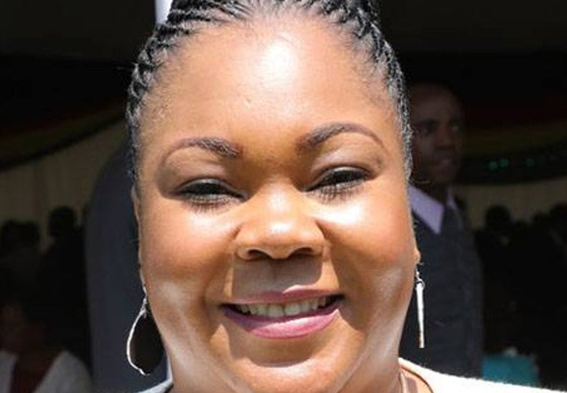 &lsquo;Upcoming Zanu PF National People&rsquo;s Conference spawning development in Mashonaland West&rsquo;, says party top official